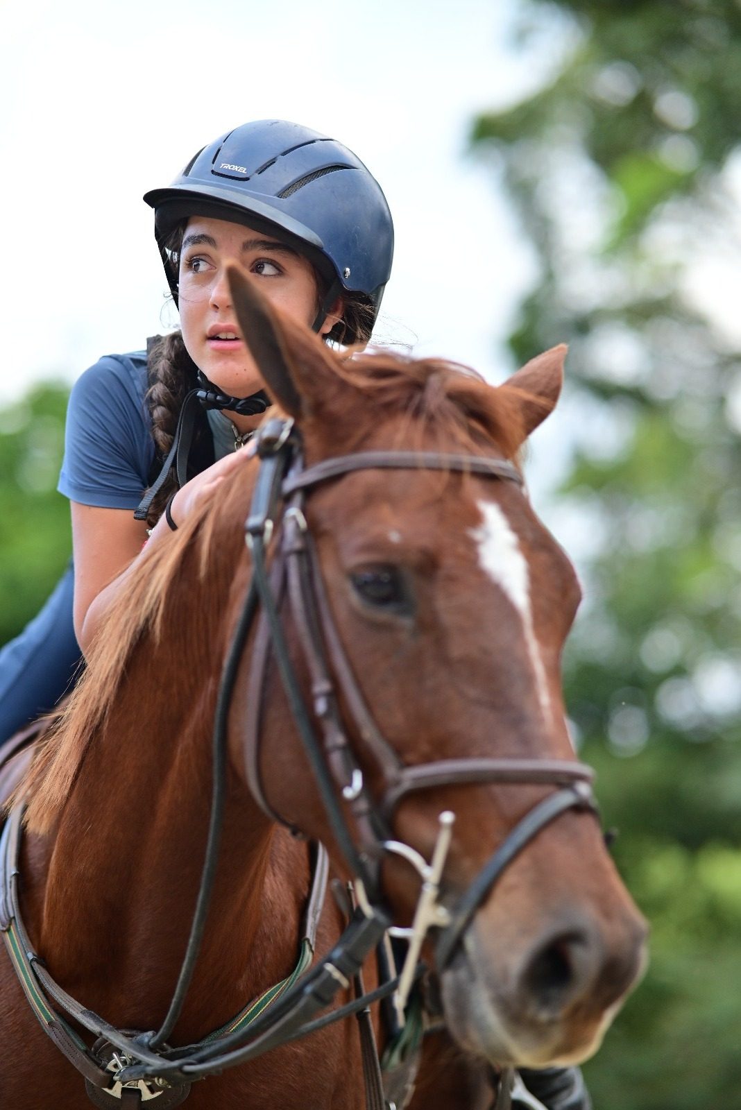Isabela Stoduto — Cavalo