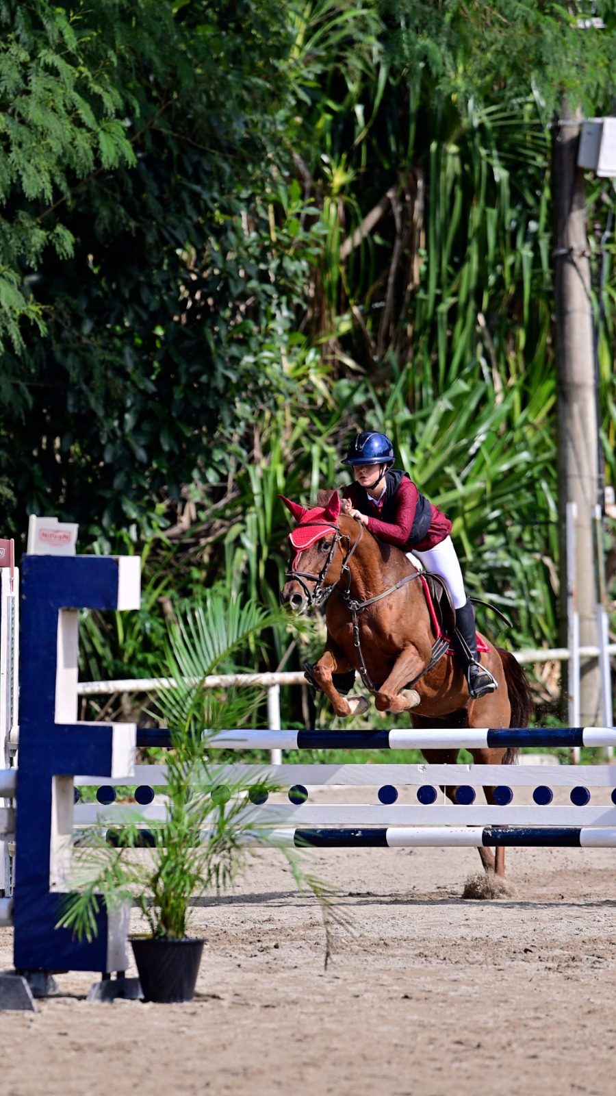 Isabela Stoduto — Esporte